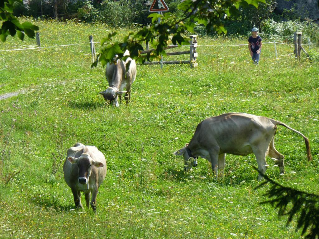 Berghotel Obersee Näfels Εξωτερικό φωτογραφία