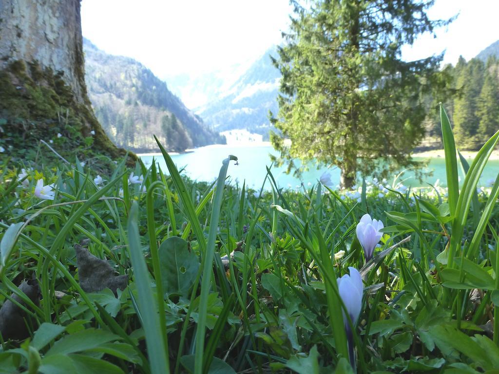 Berghotel Obersee Näfels Εξωτερικό φωτογραφία