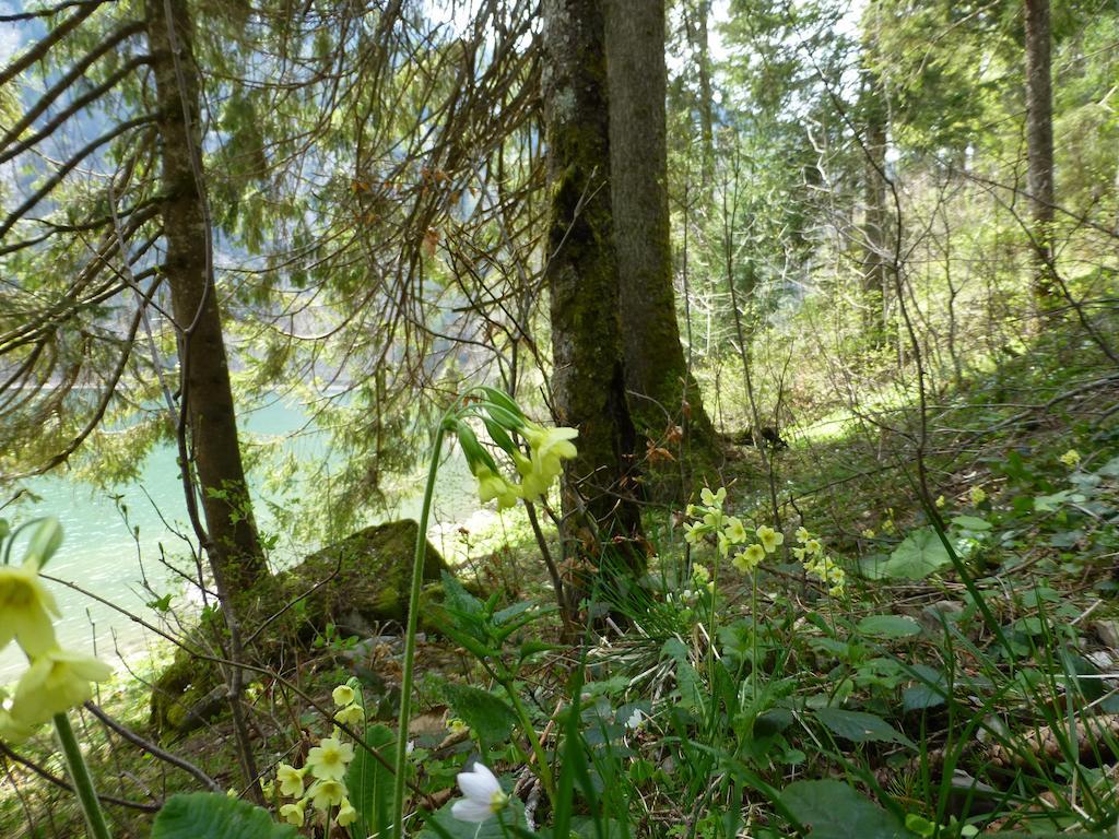 Berghotel Obersee Näfels Εξωτερικό φωτογραφία