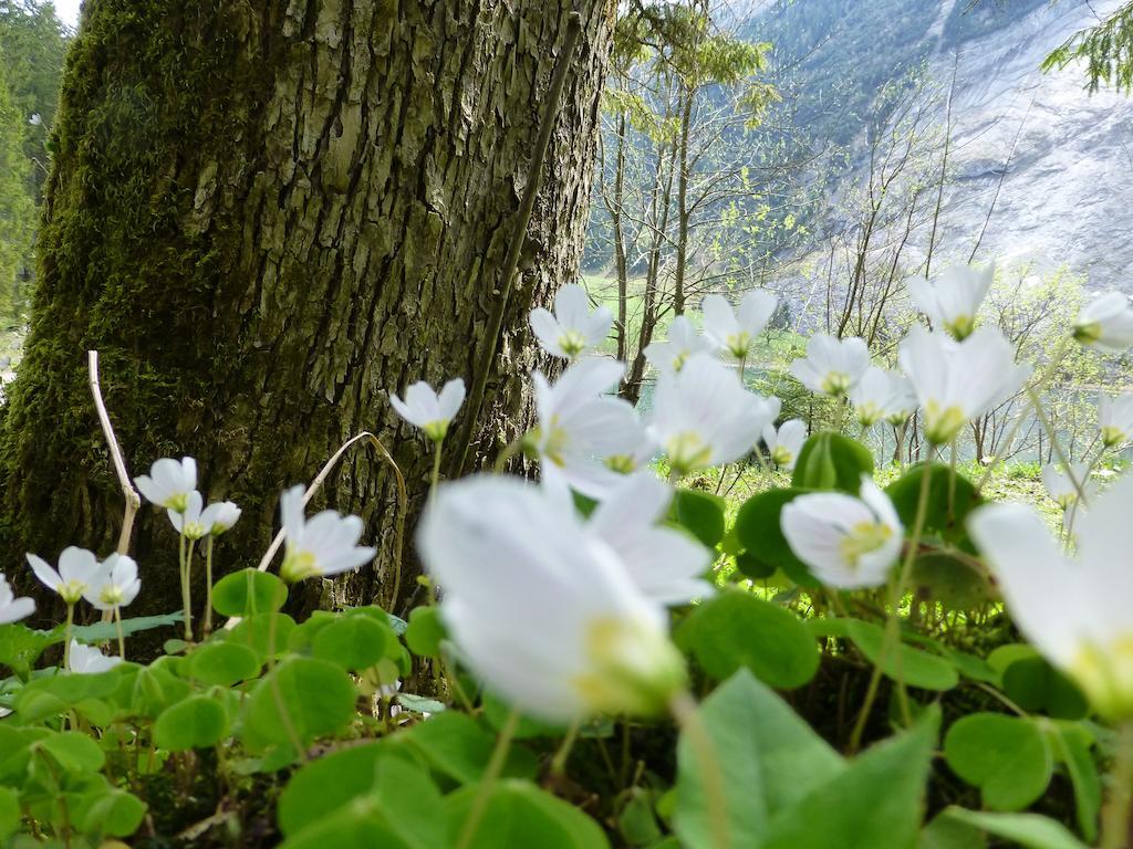 Berghotel Obersee Näfels Εξωτερικό φωτογραφία
