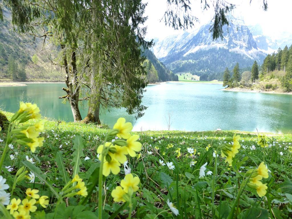 Berghotel Obersee Näfels Εξωτερικό φωτογραφία