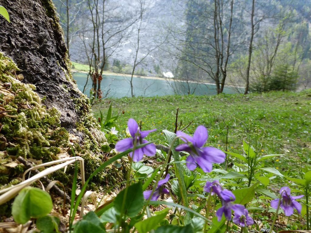 Berghotel Obersee Näfels Εξωτερικό φωτογραφία