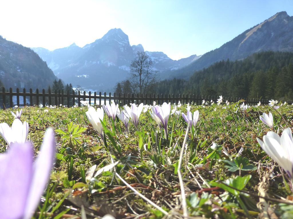 Berghotel Obersee Näfels Εξωτερικό φωτογραφία