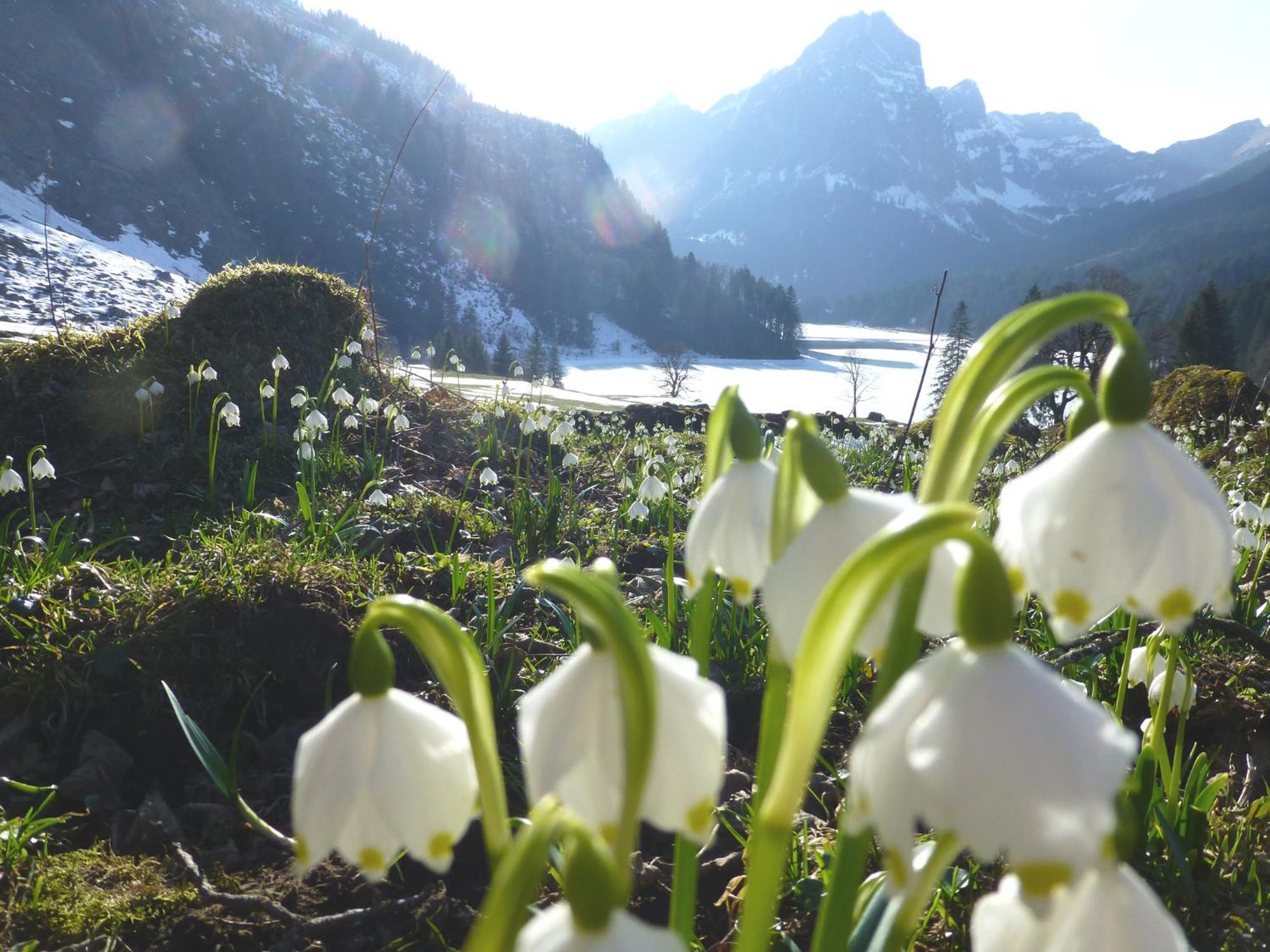 Berghotel Obersee Näfels Εξωτερικό φωτογραφία