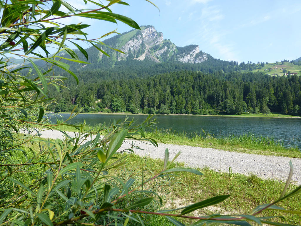 Berghotel Obersee Näfels Εξωτερικό φωτογραφία