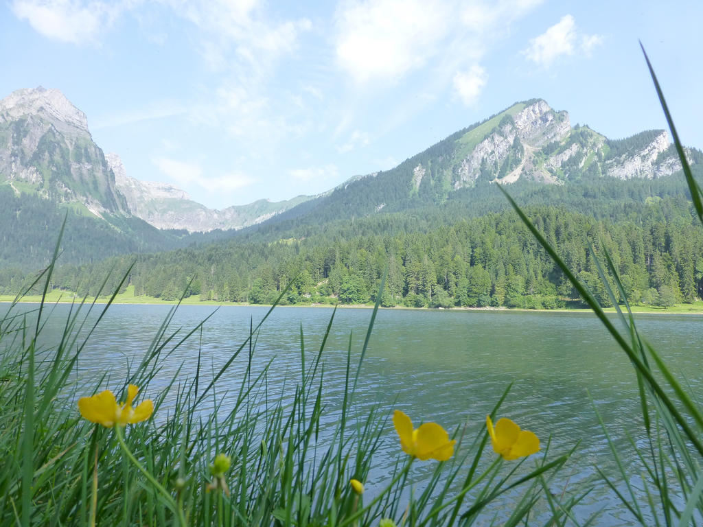 Berghotel Obersee Näfels Εξωτερικό φωτογραφία