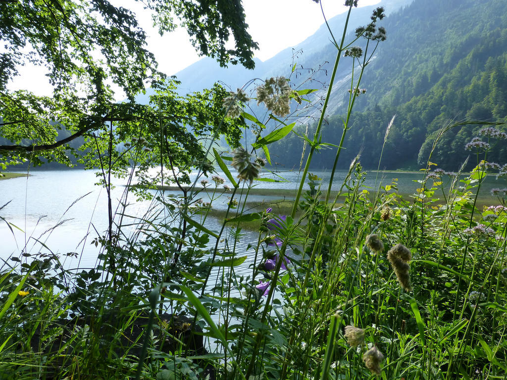 Berghotel Obersee Näfels Εξωτερικό φωτογραφία