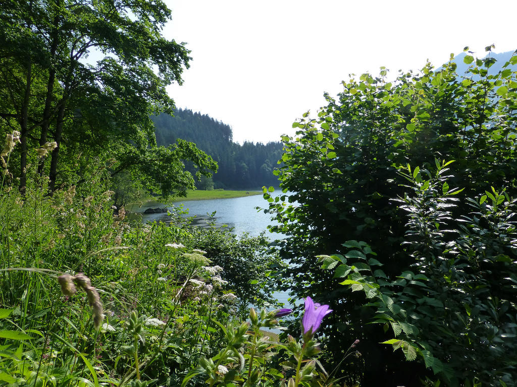 Berghotel Obersee Näfels Εξωτερικό φωτογραφία